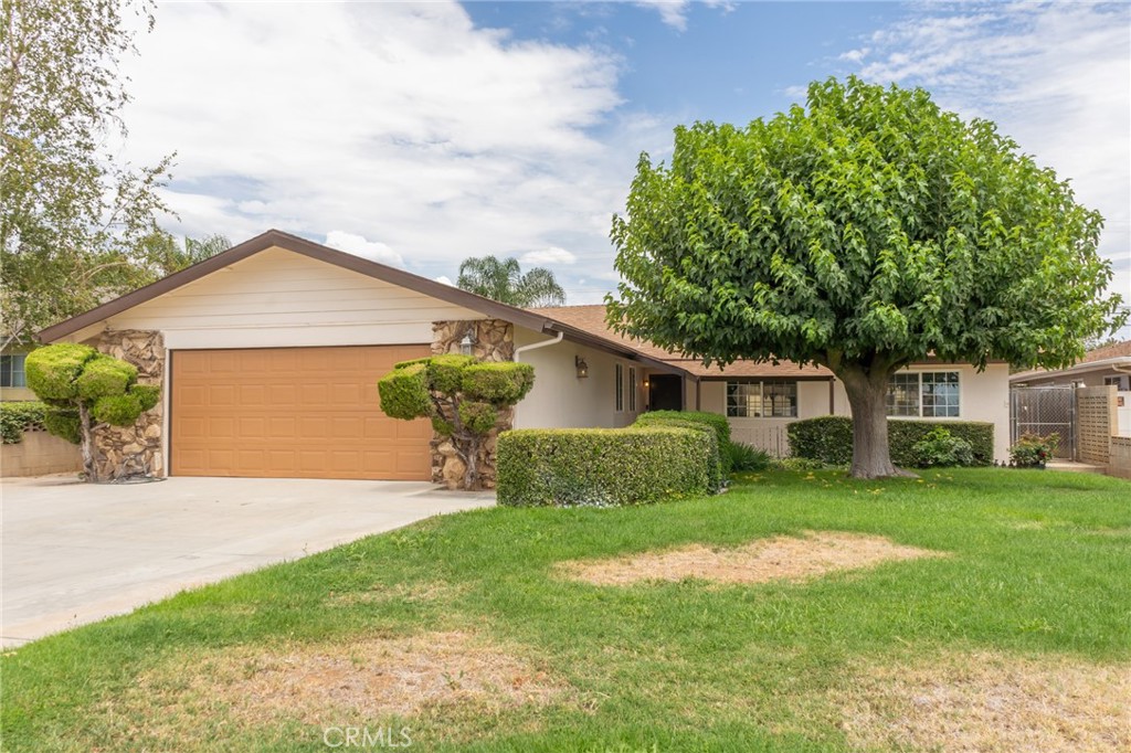 1232 Chestnut Avenue Property Photo 5