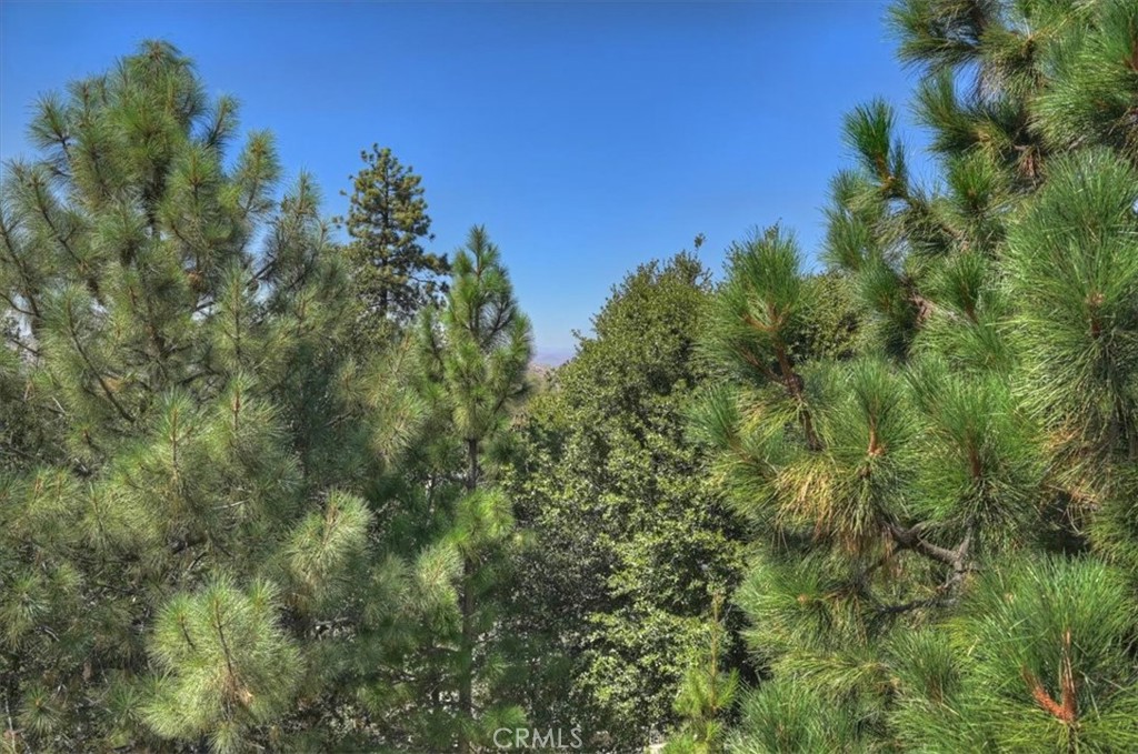 27398 Matterhorn Drive Property Photo 23