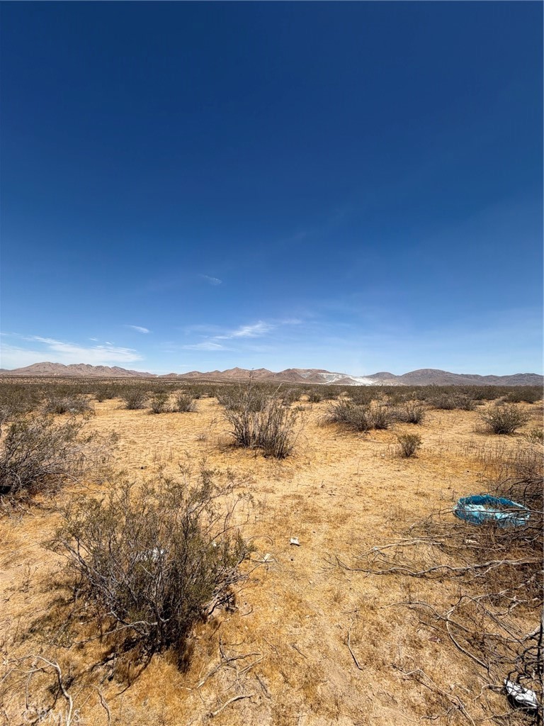 0 Johnson Property Photo 3