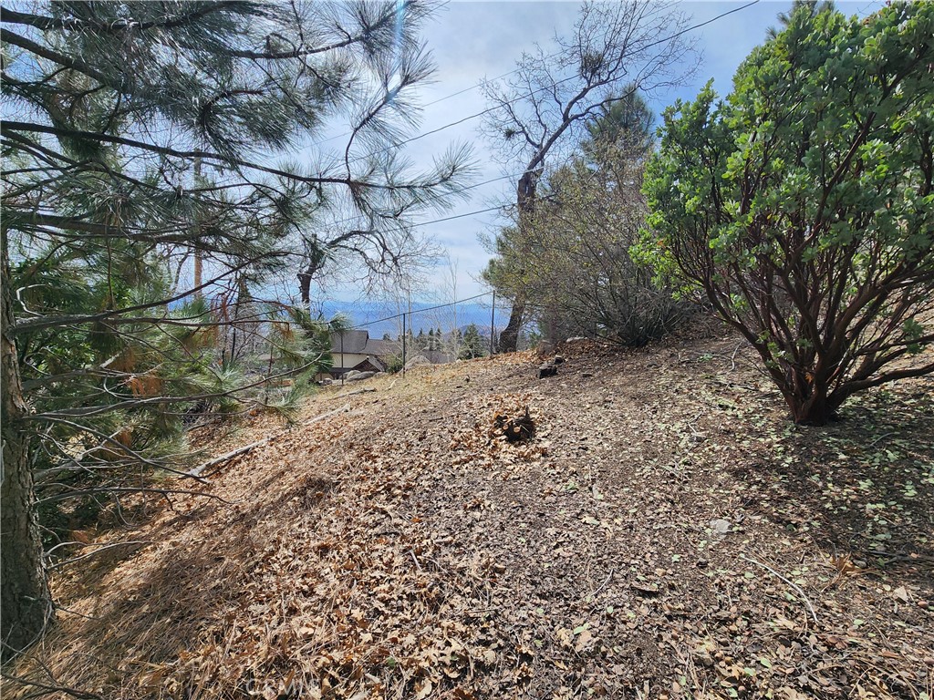 30914 Old City Creek Road Property Photo 17