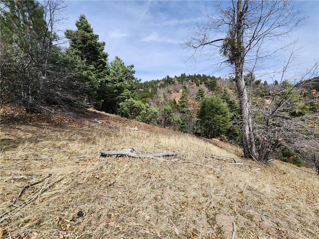 30914 Old City Creek Road Property Photo 19