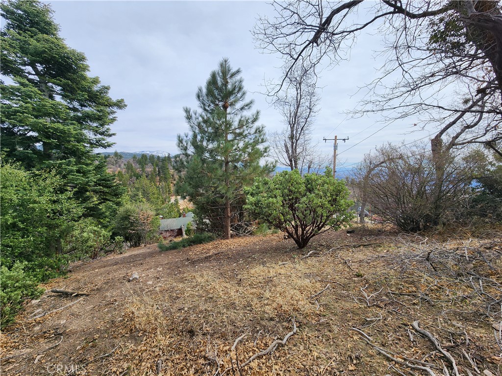 30914 Old City Creek Road Property Photo 32