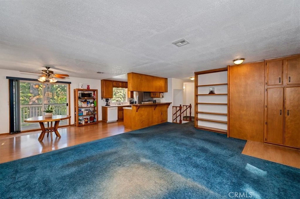 1050 Jungfrau Property Photo 3