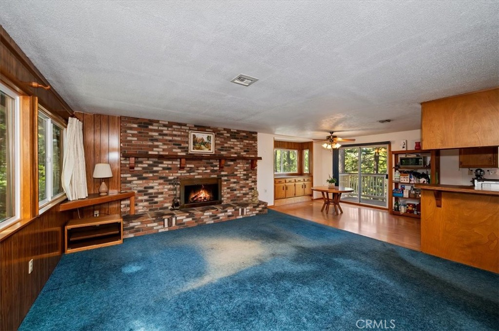 1050 Jungfrau Property Photo 4
