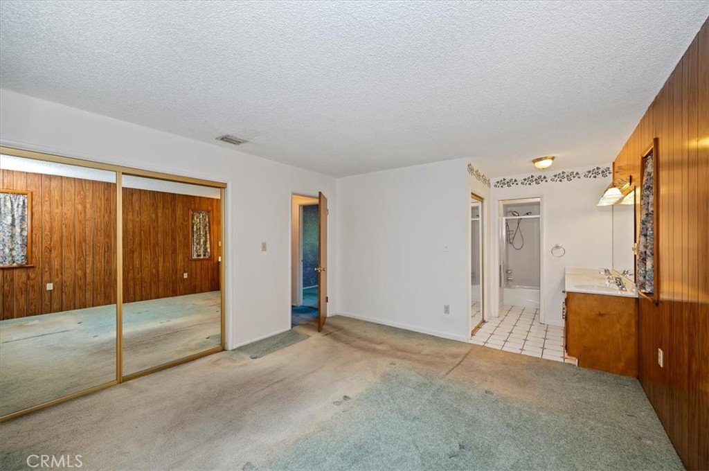 1050 Jungfrau Property Photo 16