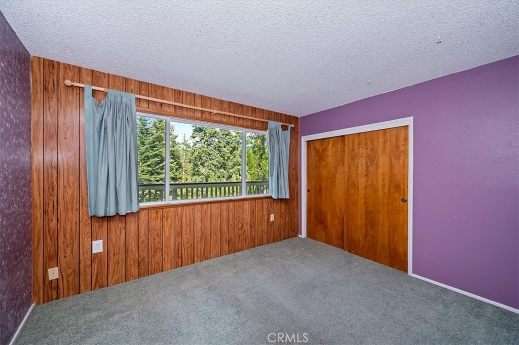 1050 Jungfrau Property Photo 17