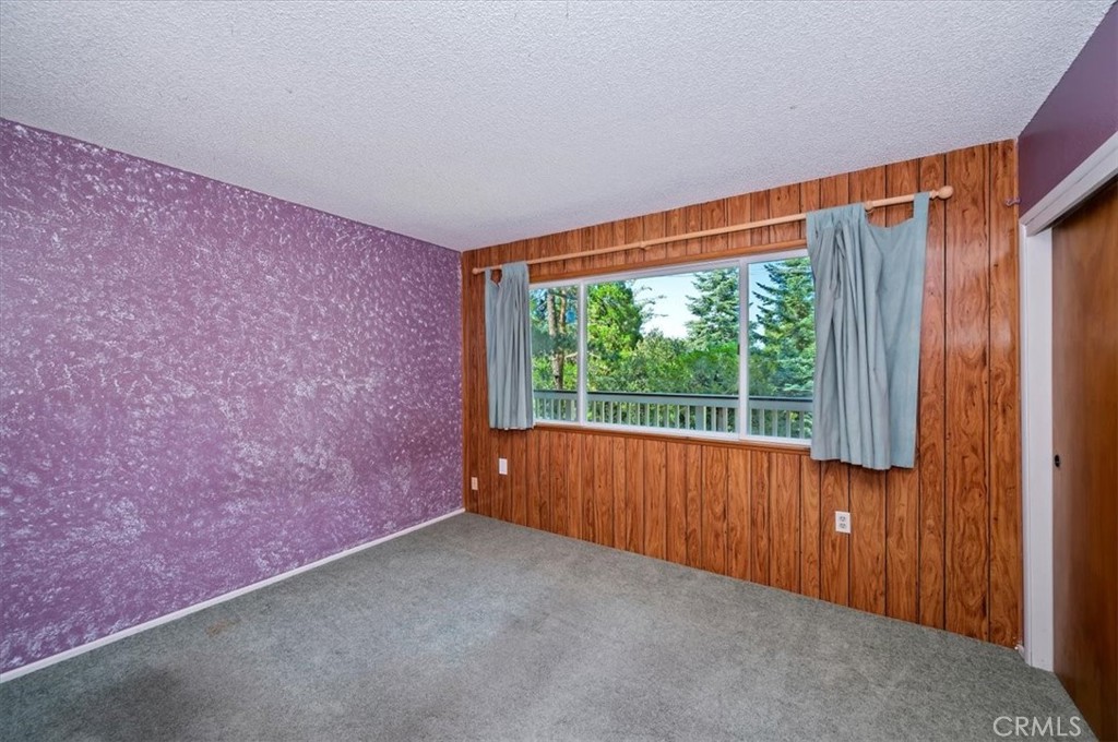 1050 Jungfrau Property Photo 18