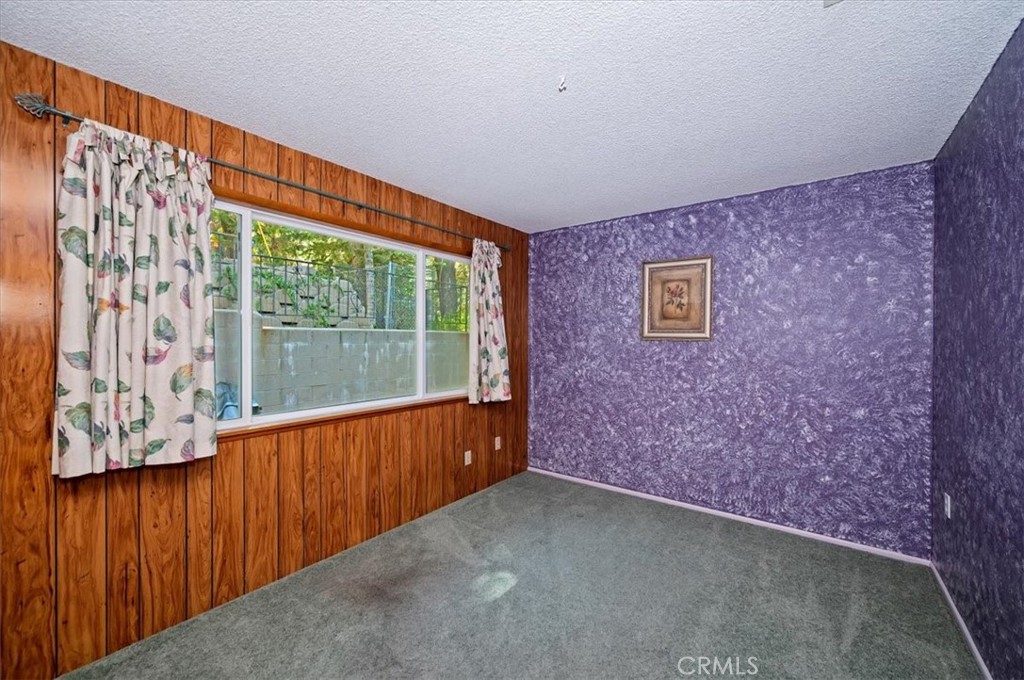 1050 Jungfrau Property Photo 19