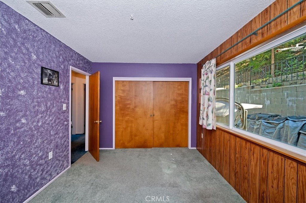 1050 Jungfrau Property Photo 20