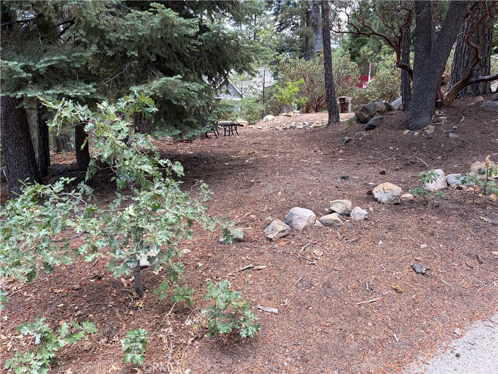 6212 Oak Avenue Property Photo 1
