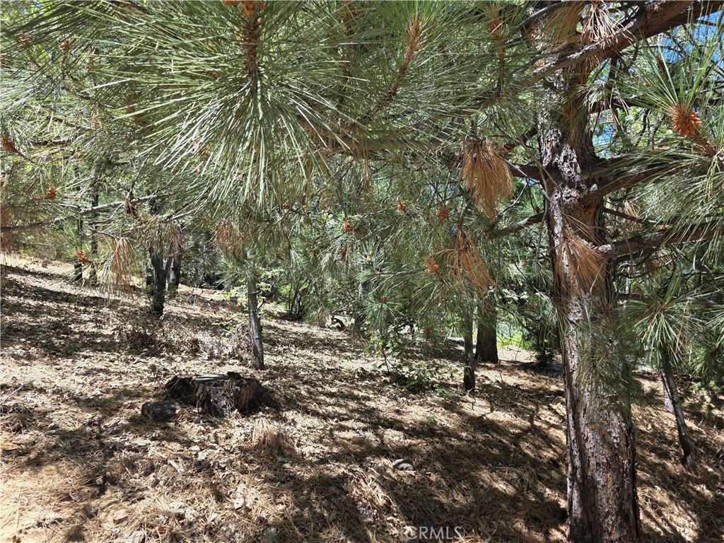 28276 Arbon Property Photo 1