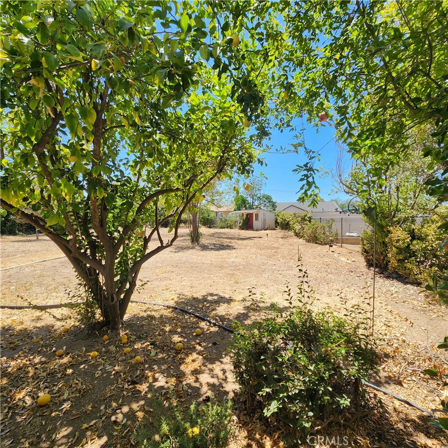 35231 San Carlos Property Photo 32