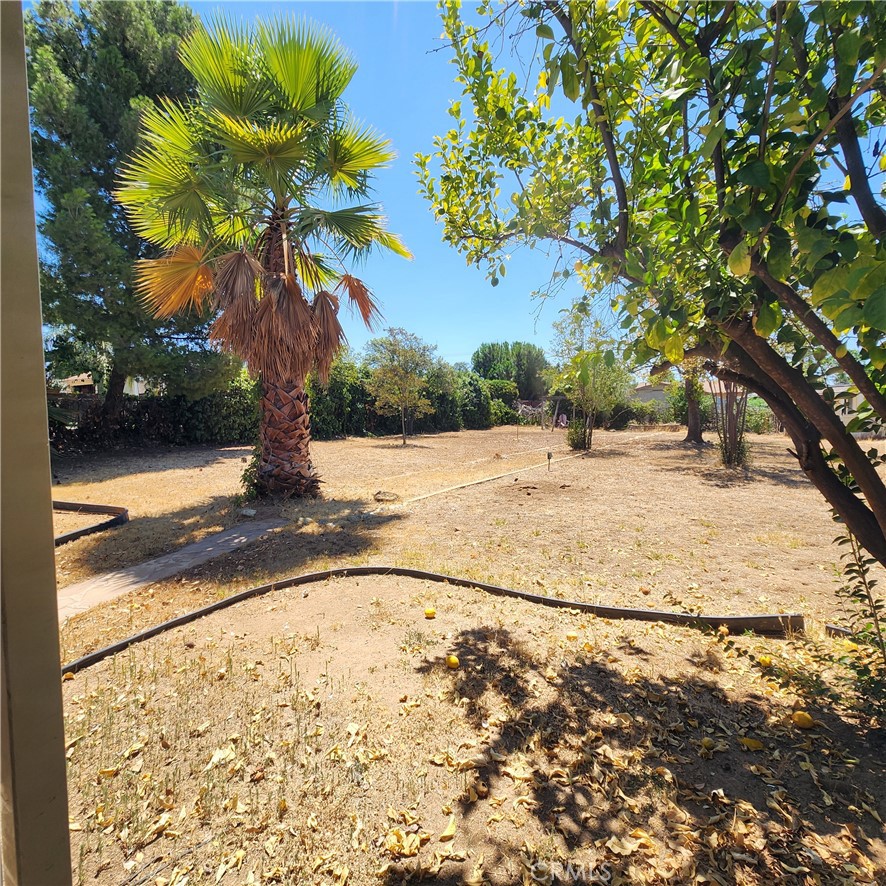 35231 San Carlos Property Photo 33