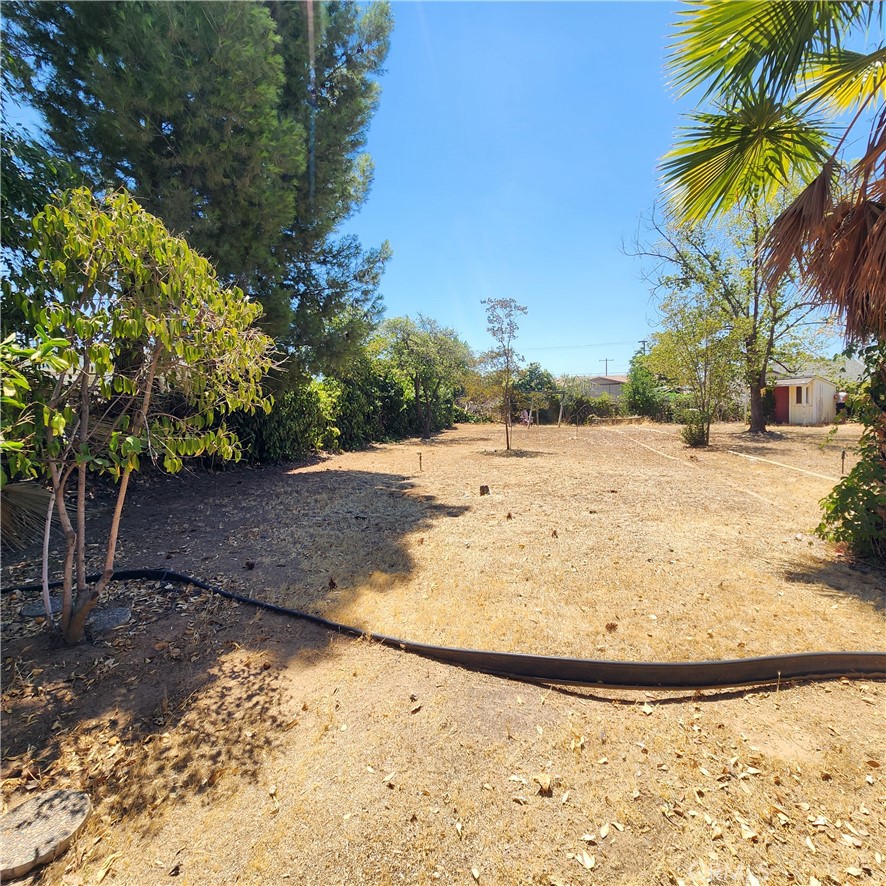 35231 San Carlos Property Photo 39