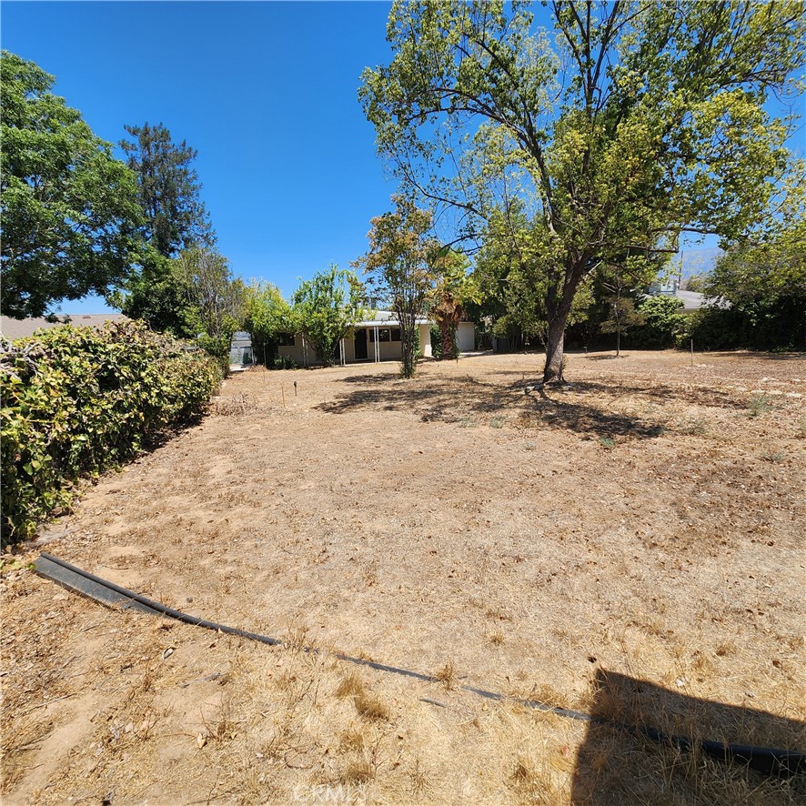 35231 San Carlos Property Photo 43