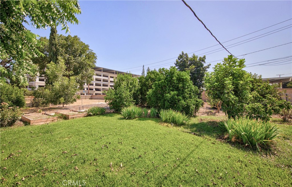 11375 Iris Avenue Property Photo 22