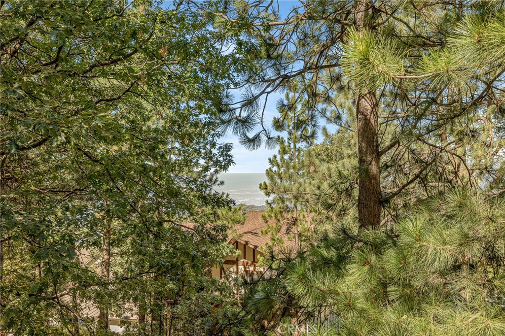 30080 Pixie Property Photo 26