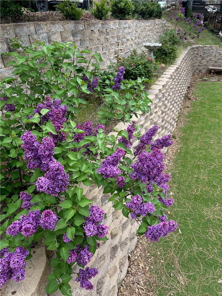 30080 Pixie Property Photo 52