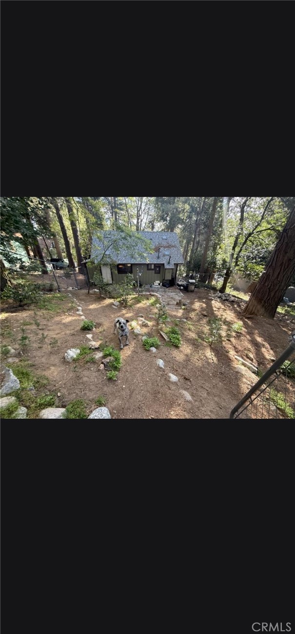 22927 Crest Forest Property Photo 8