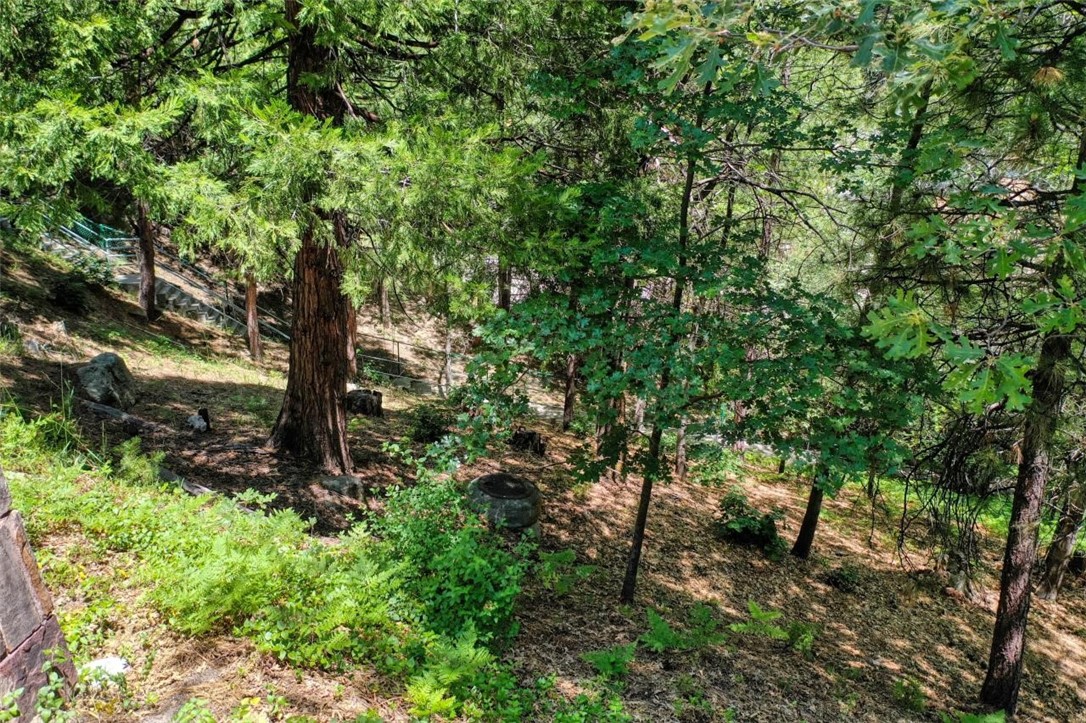 27457 North Bay Property Photo 6