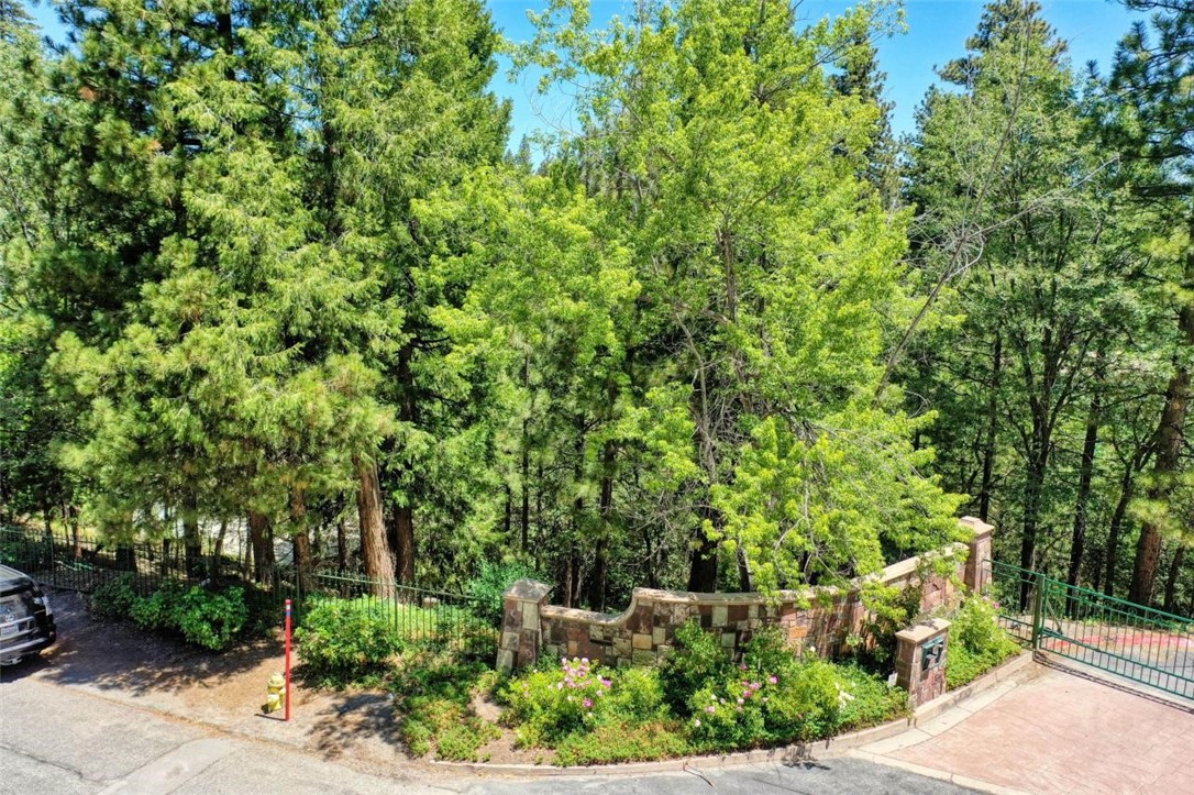 27457 North Bay Property Photo 7