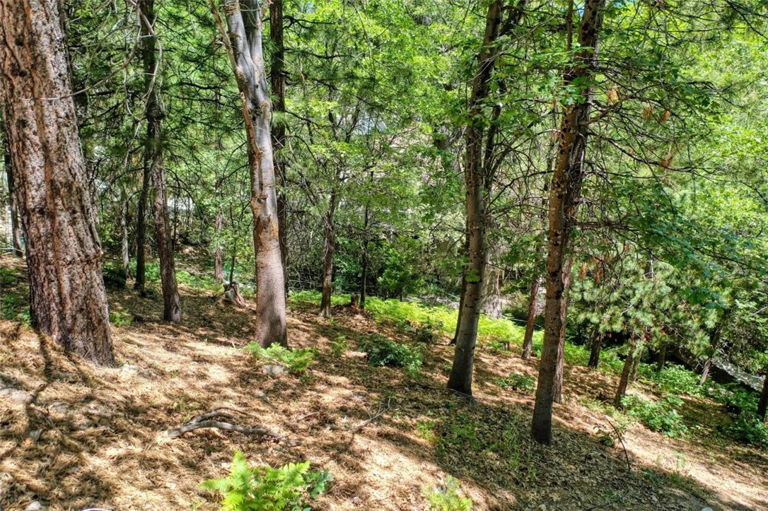 27457 North Bay Property Photo 11