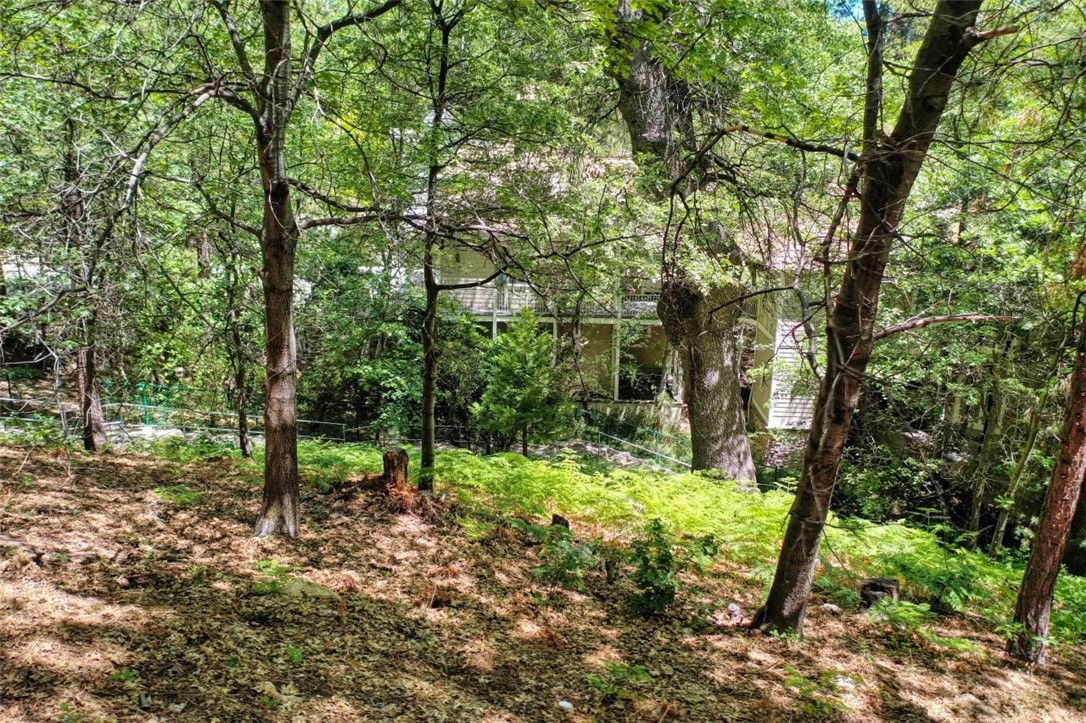 27457 North Bay Property Photo 13