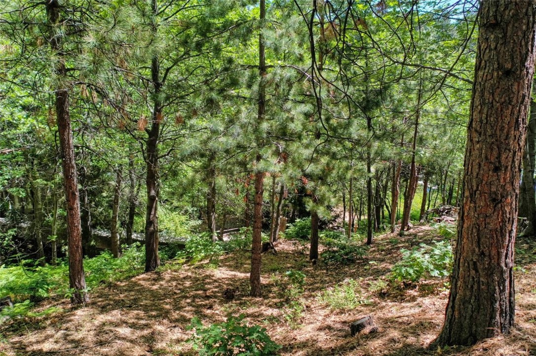 27457 North Bay Property Photo 14