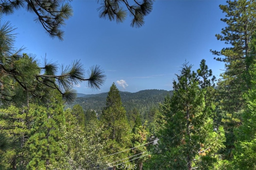 286 Birchwood Property Photo 44