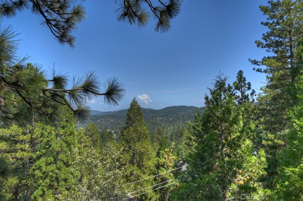 286 Birchwood Property Photo 44