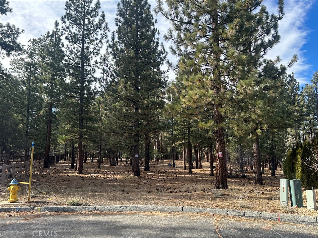 1801 Shady Property Photo 1