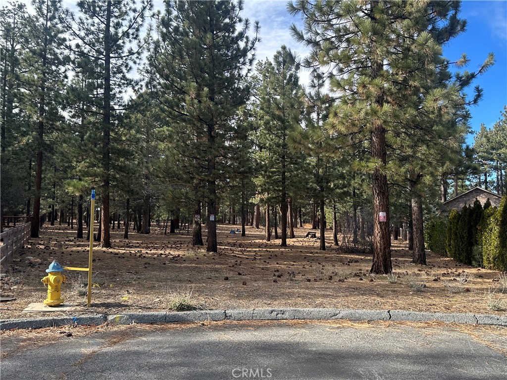 1801 Shady Property Photo 6