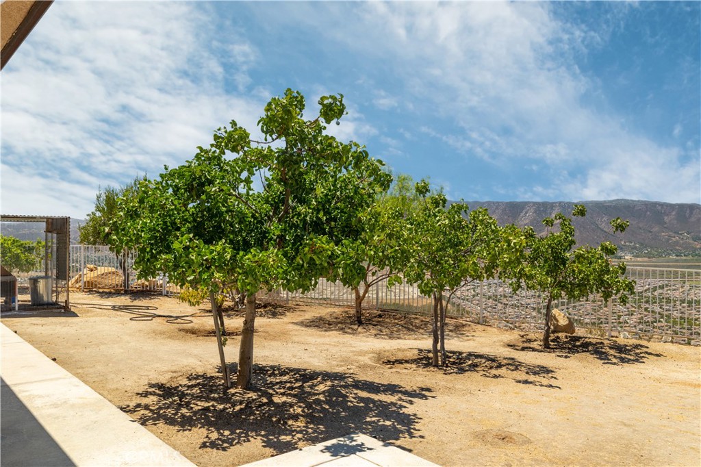32330 Elsinore Heights Property Photo 41