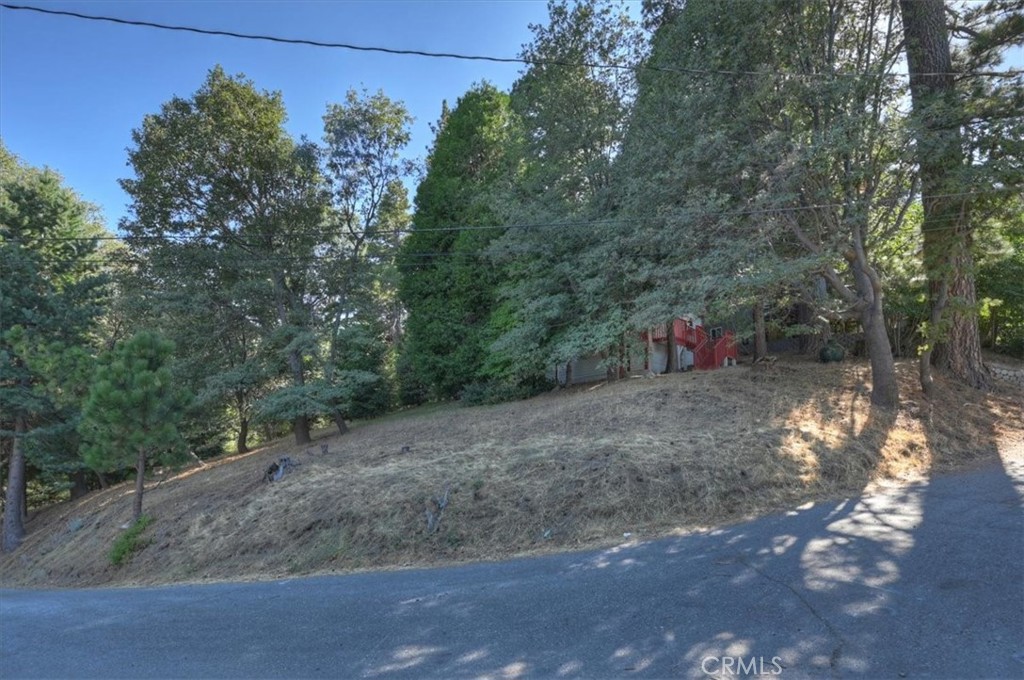 22421 Pine Property Photo 25