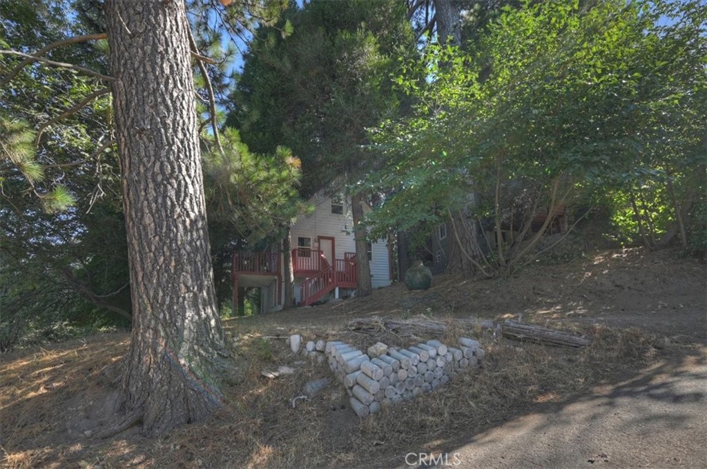 22421 Pine Property Photo 27
