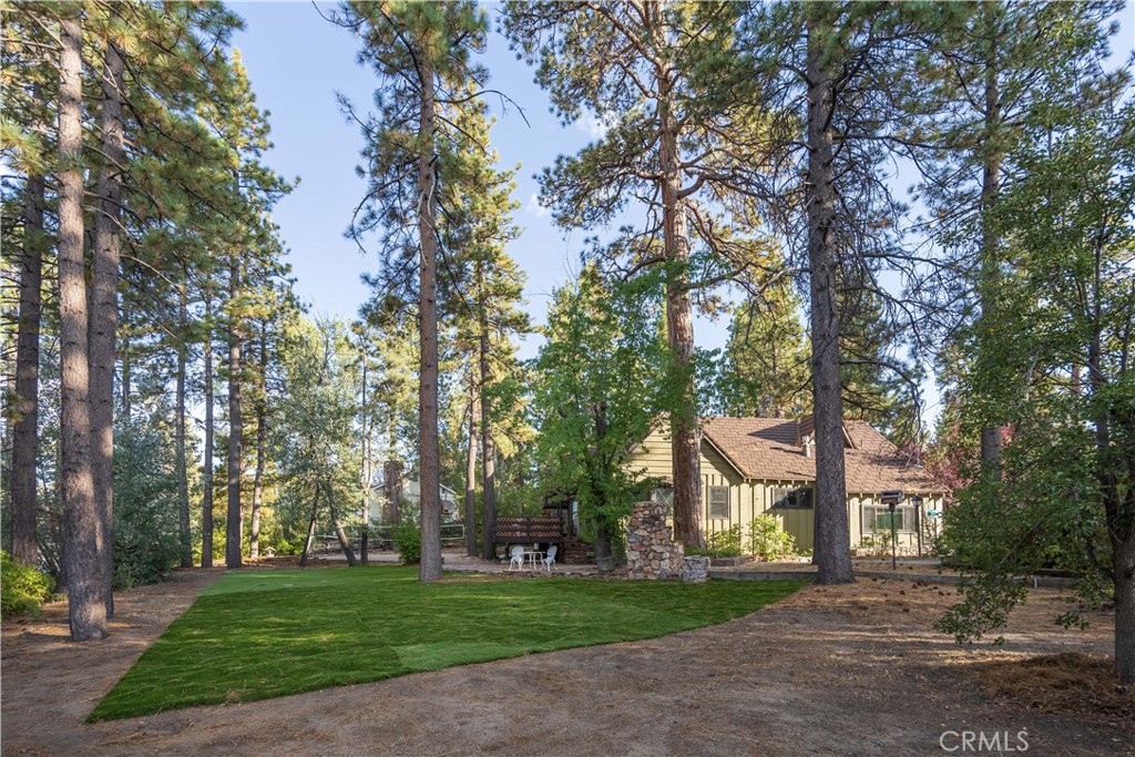 40153 Lakeview Drive Property Photo 42