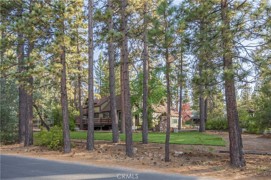 40153 Lakeview Drive Property Photo 48