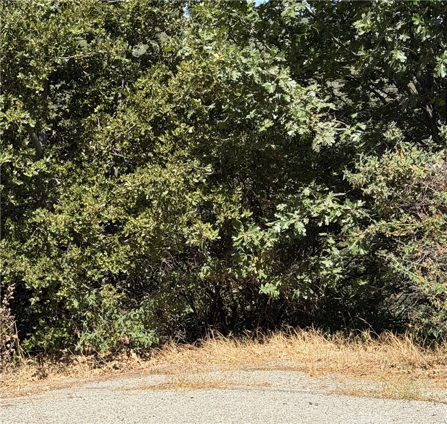 0 Brentwood Property Photo 3