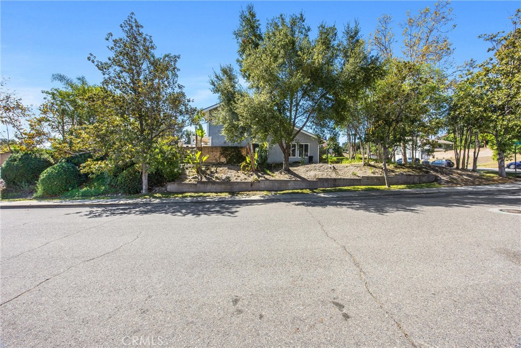7729 Calle Bresca Property Photo 7