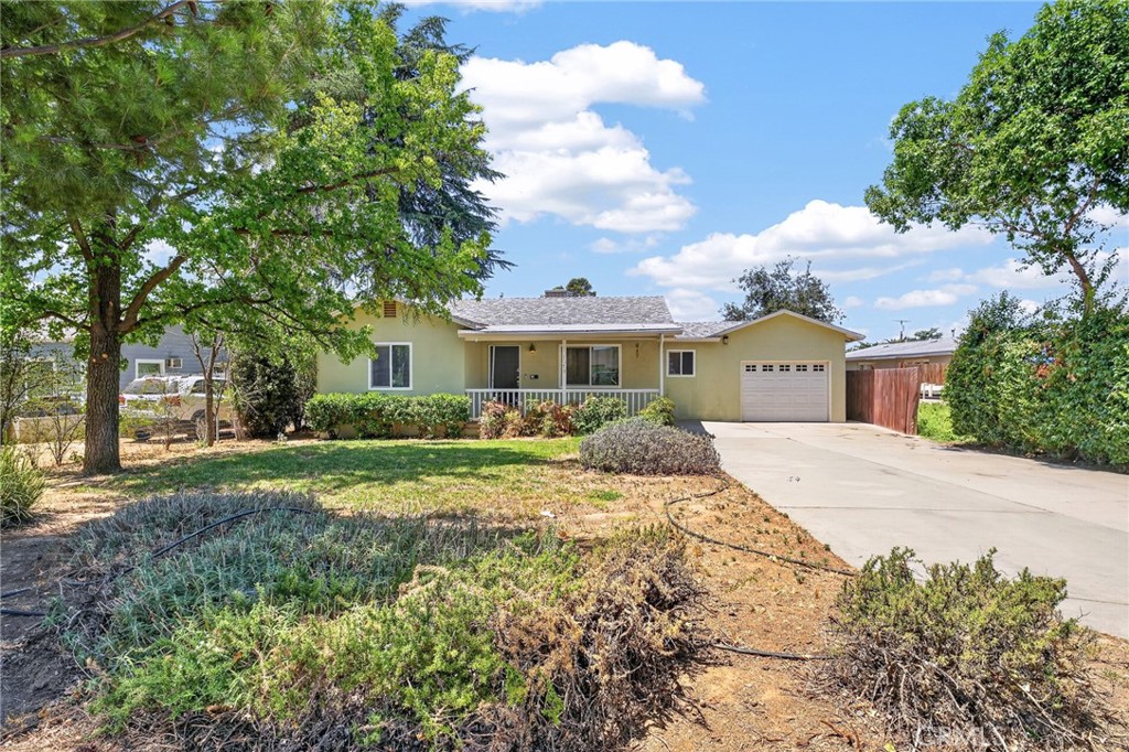 1073 Palm Property Photo 3