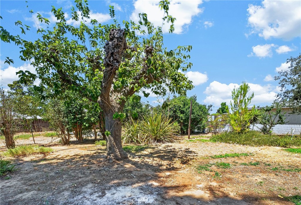 1073 Palm Property Photo 23