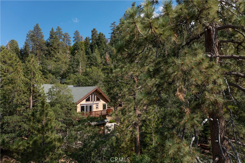 41205 Terrapin Road Property Photo 52