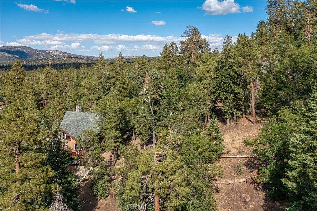 41205 Terrapin Road Property Photo 59