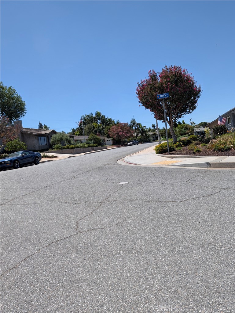 611 Iris Property Photo 8