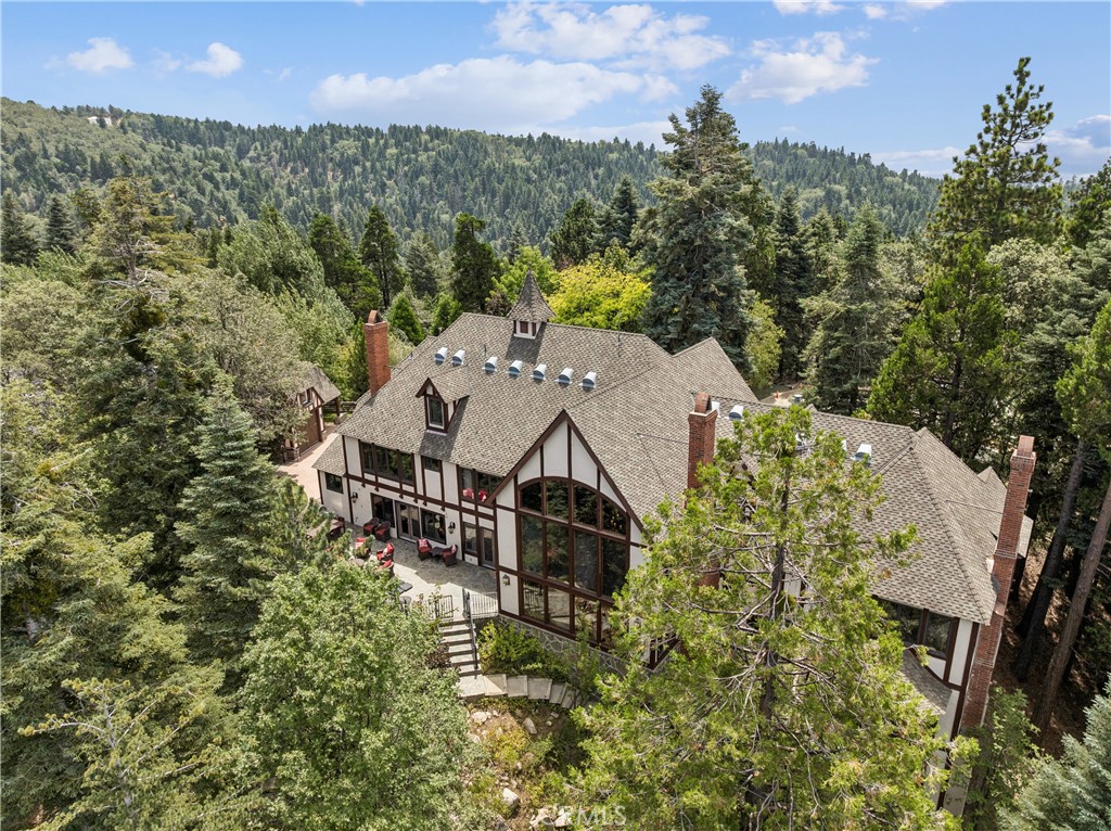 29162 Bald Eagle Ridge Property Photo 61
