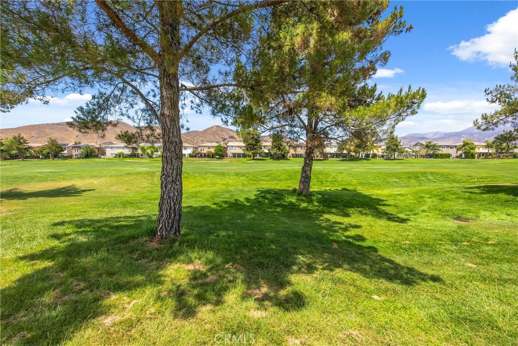 34128 Pinehurst Drive Property Photo 46
