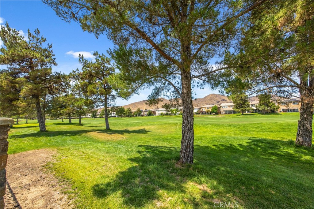 34128 Pinehurst Drive Property Photo 47