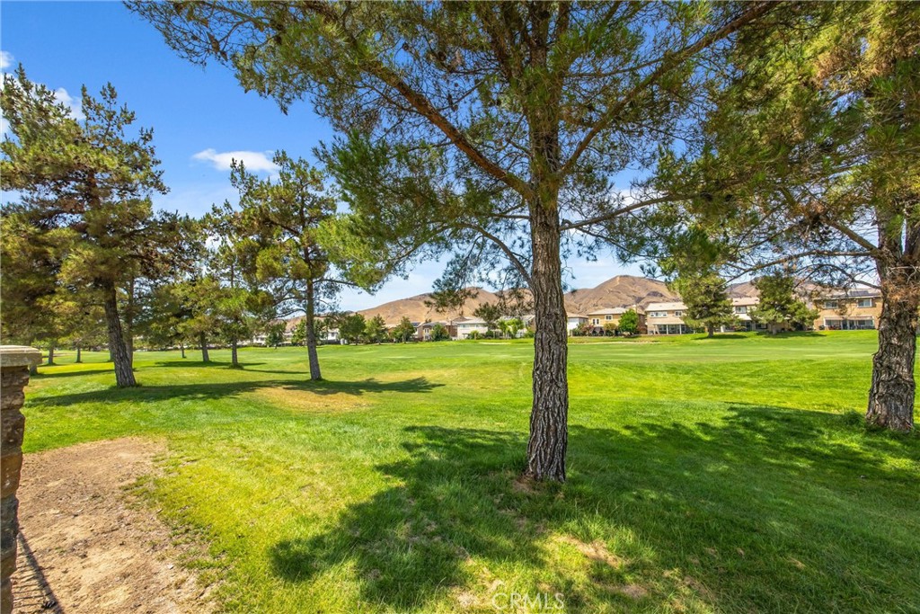 34128 Pinehurst Drive Property Photo 47