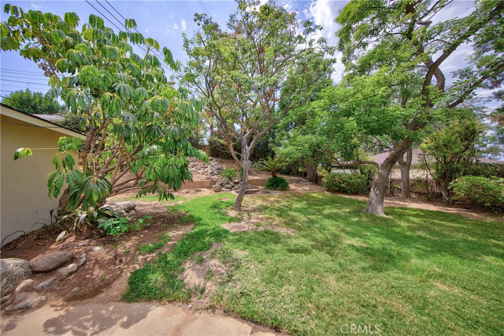 812 Serpentine Property Photo 29
