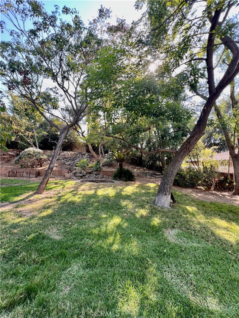 812 Serpentine Property Photo 30